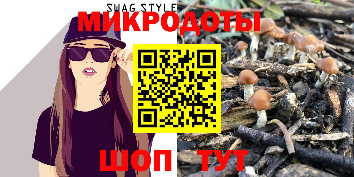 Томск  Галлюциногенные грибы Psilocybe  Вход с VPN 